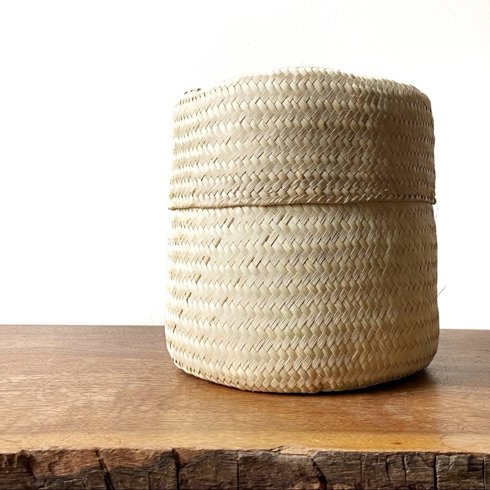 Boho Woven Wicker Lidded Basket Small Storage Basket Decor MCM